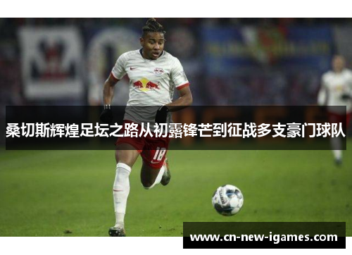 桑切斯辉煌足坛之路从初露锋芒到征战多支豪门球队 桑切斯辉煌足坛之路从初露锋芒到征战多支豪门球队