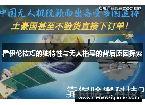 霍伊伦技巧的独特性与无人指导的背后原因探索 霍伊伦技巧的独特性与无人指导的背后原因探索